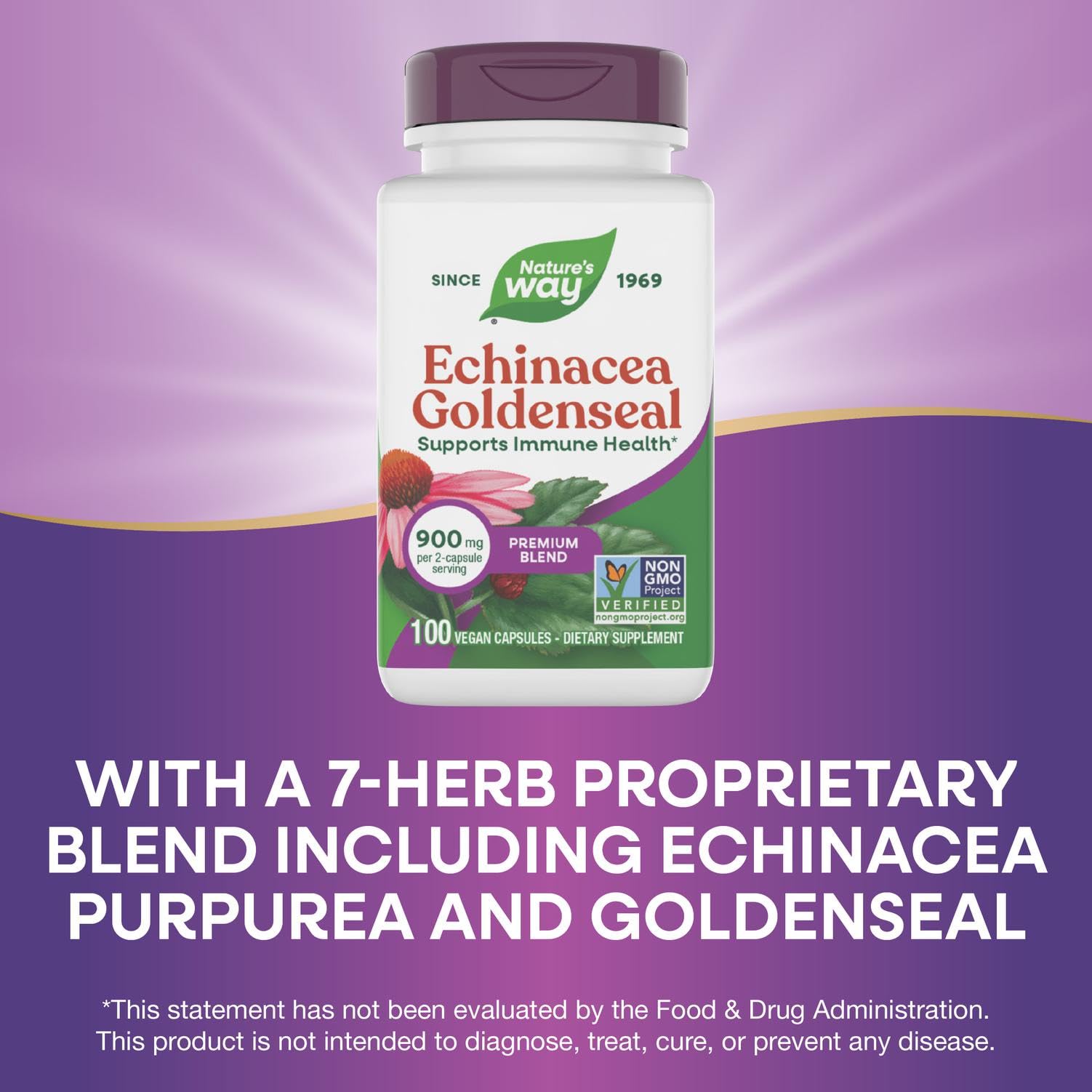 Nature's Way Echinacea Goldenseal - mélange de 7 herbes pour un soutien quotidien potentiel