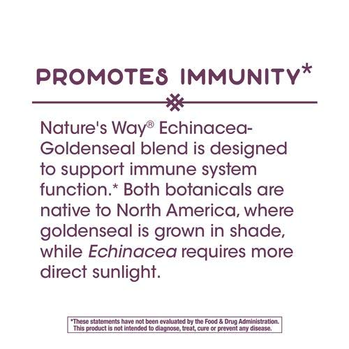 Nature's Way Echinacea Goldenseal — dose quotidienne suggérée sur l'étiquette