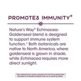 Nature's Way Echinacea Goldenseal — dose quotidienne suggérée sur l'étiquette