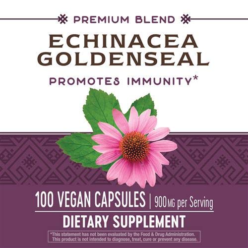 Nature's Way Echinacea Goldenseal — emballage attrayant et design soigné