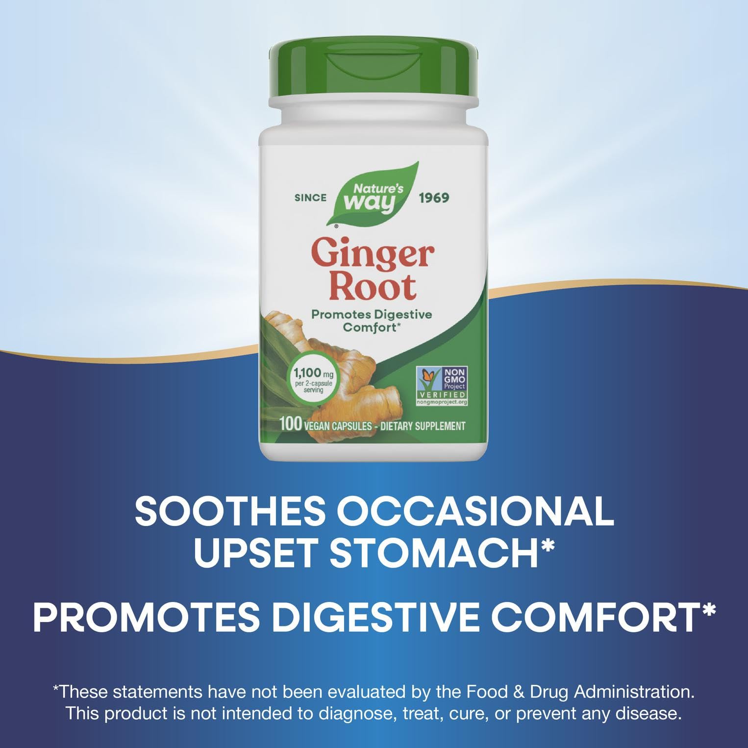 Nature's Way Gingembre Racine, tableau de dosage clair pour une utilisation quotidienne.
