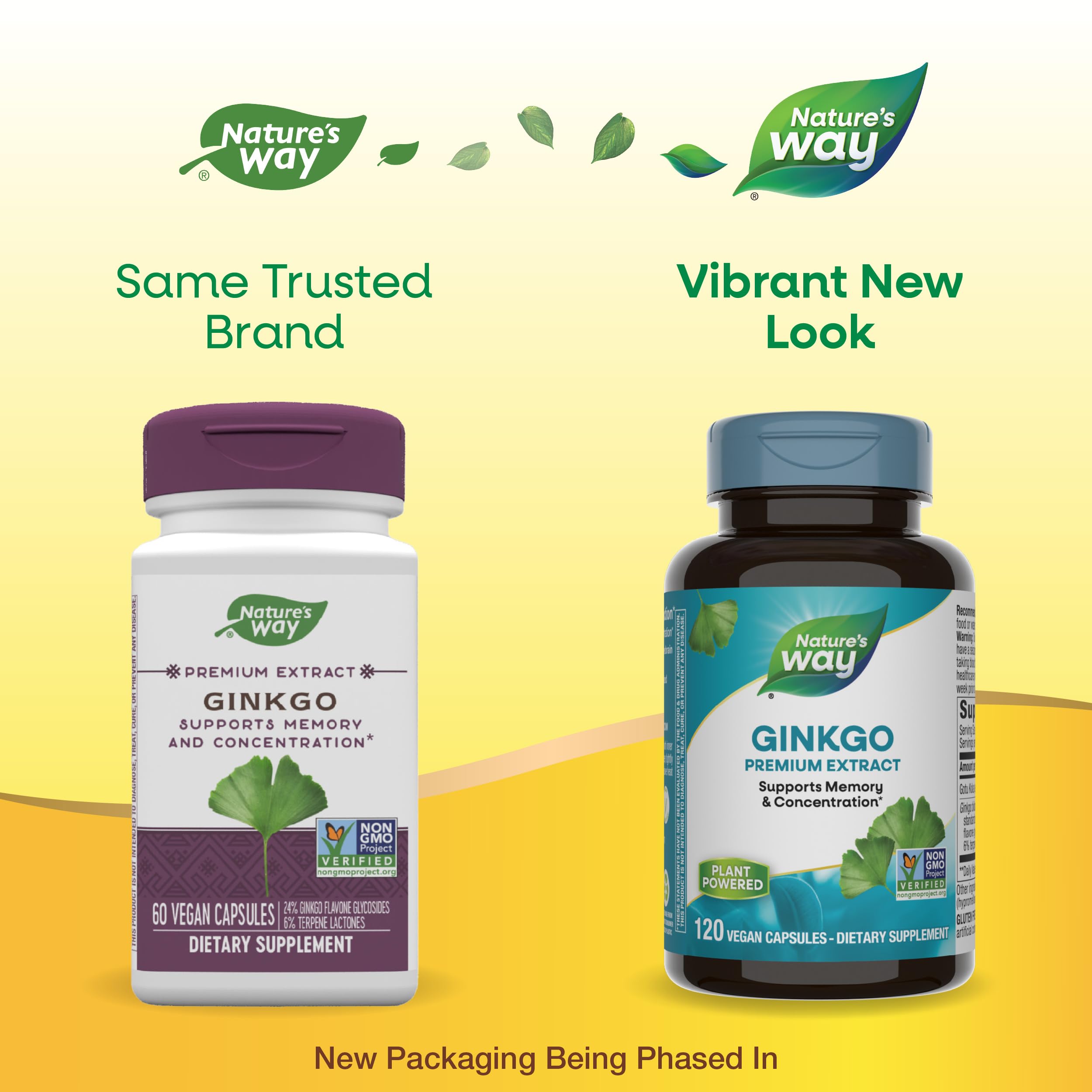 Nature's Way Ginkgo glycosides flavone 24% pour activité cognitive soutenue.