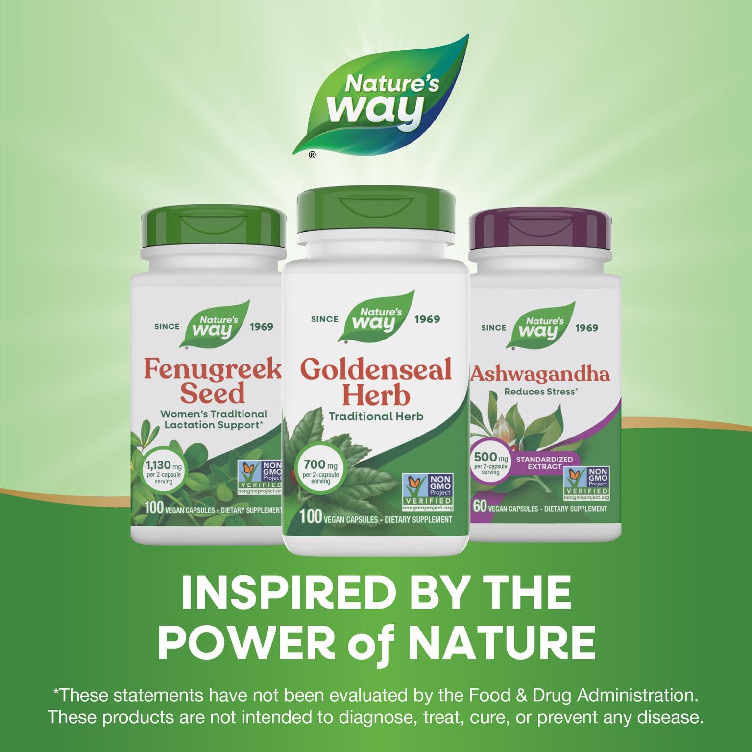 Contenu 100 capsules Nature's Way Goldenseal prête à l'emploi