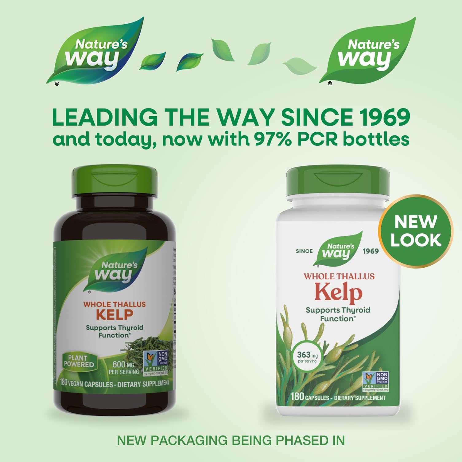 Nature's Way Kelp — capsules pratiques pour un apport quotidien en iode, vegan et sans gluten.