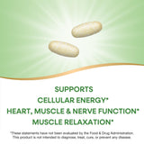 Nature's Way Krebs Magnesium Potassium Complexe, tablettes pratiques pour énergie constante.