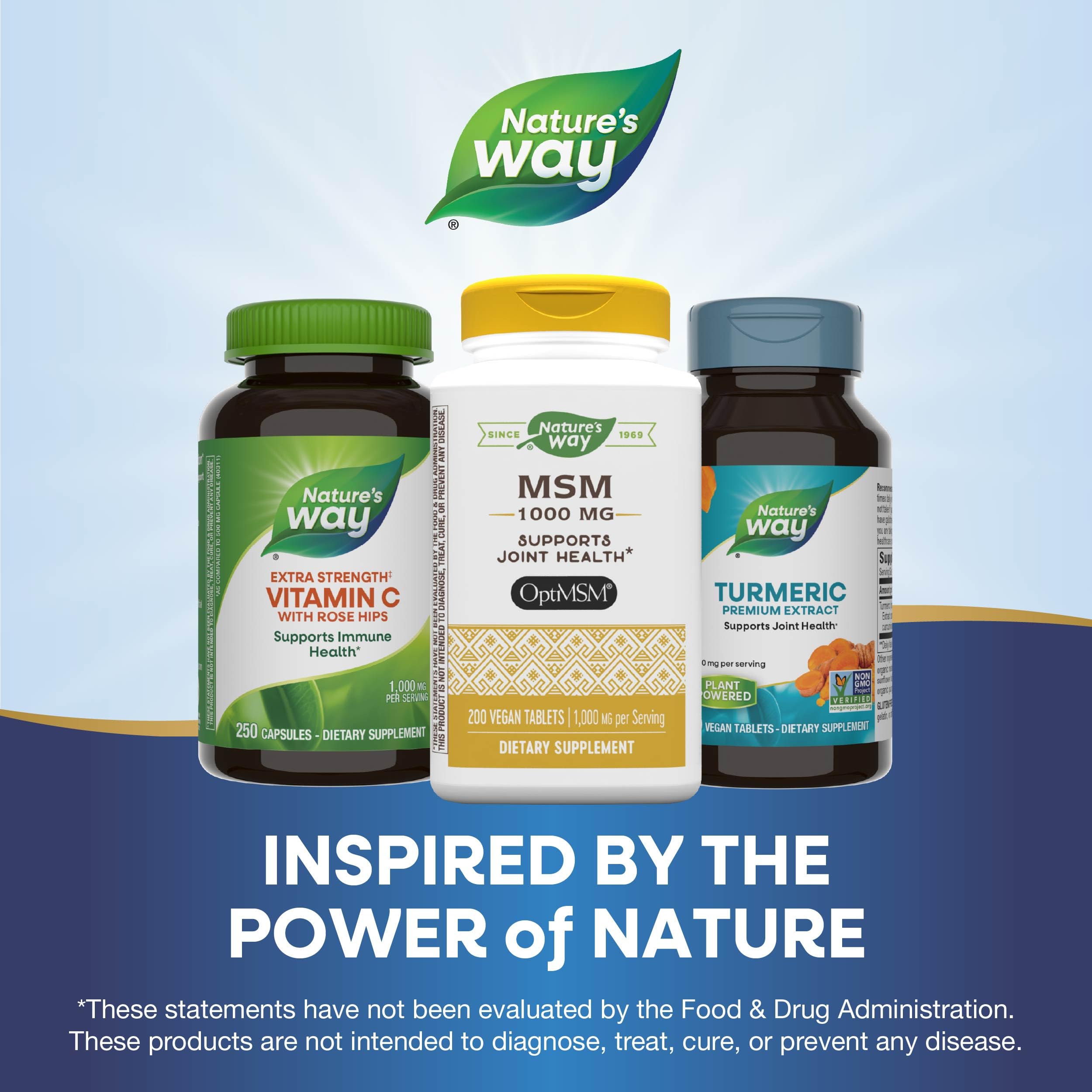 Nature's Way MSM 1000 mg - fiche nutritionnelle: informations essentielles et usage.