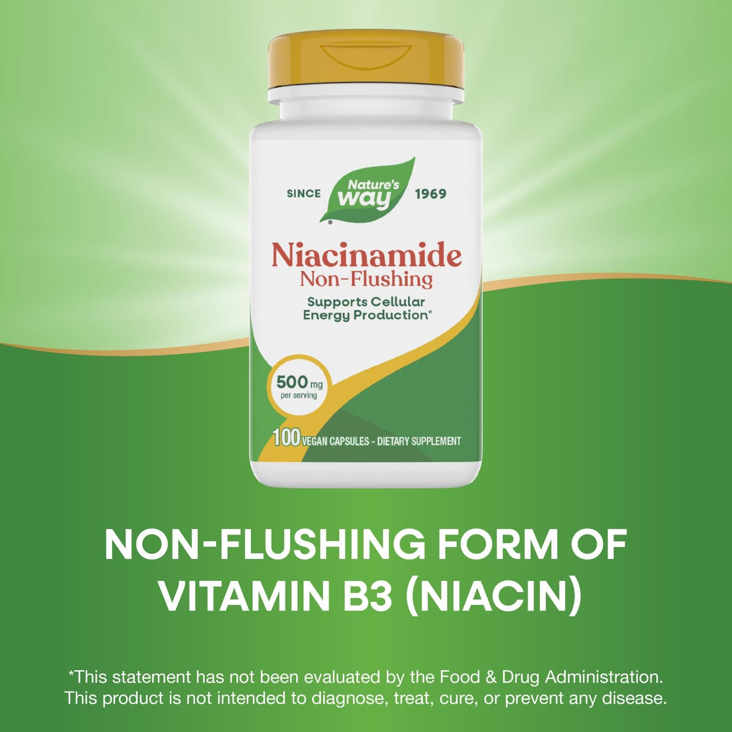 Nature's Way Niacinamide capsule quotidienne avec repas