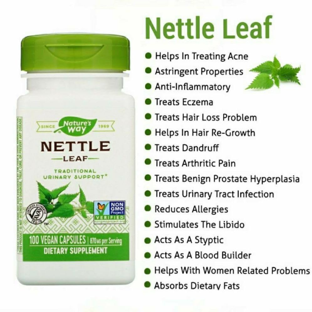 Nature's Way Ortie: récolte sauvage et traitement doux des feuilles.