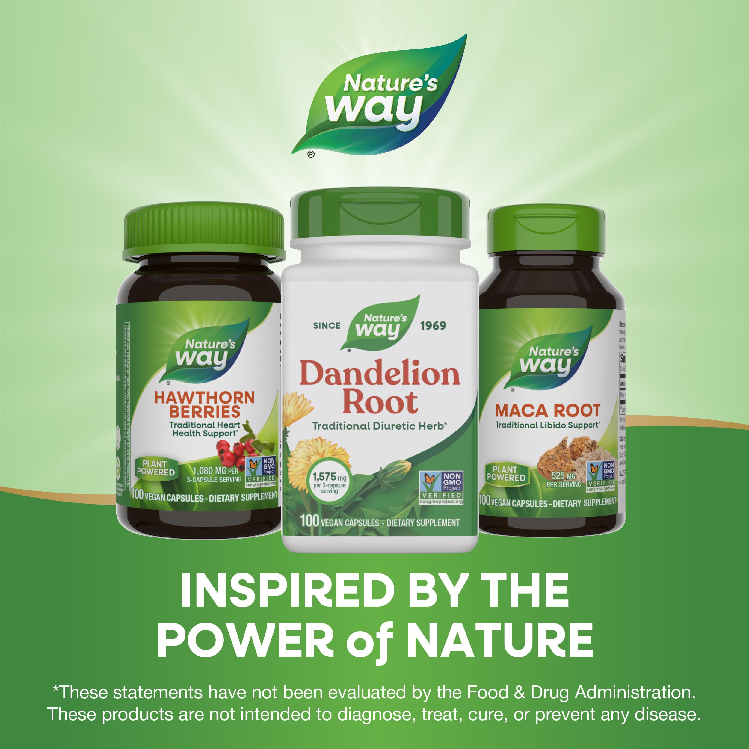 Nature's Way Racine de Pissenlit: emballage variable selon le lot.
