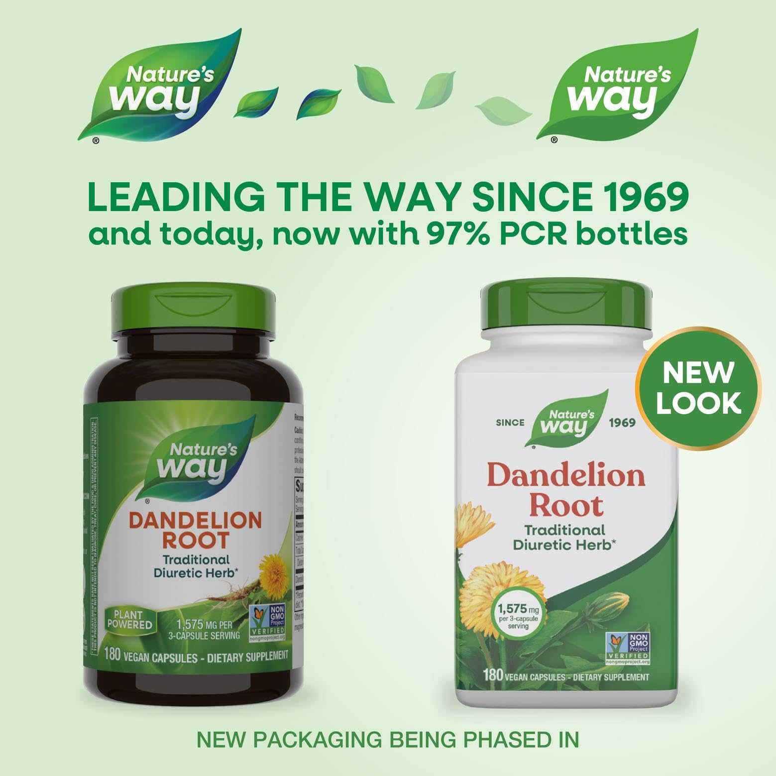 Nature's Way Racine de Pissenlit, capsules, diurétique potentiel et usage quotidien.