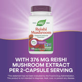 Origine Chine et traçabilité pour Nature's Way Reishi.