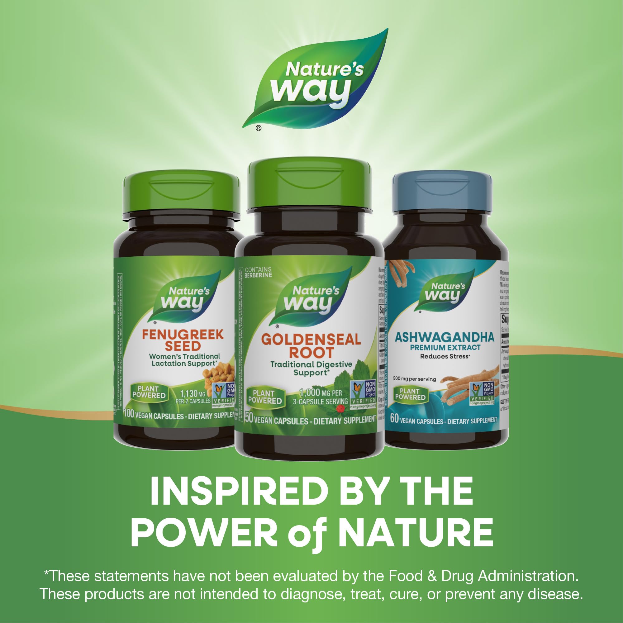 Flacon Nature's Way Goldenseal prêt à l'emploi dans votre routine.