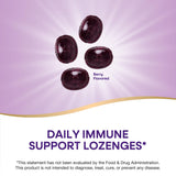 Nature's Way Sambucus Immun avec zinc et vitamine C pour un soutien pratique.