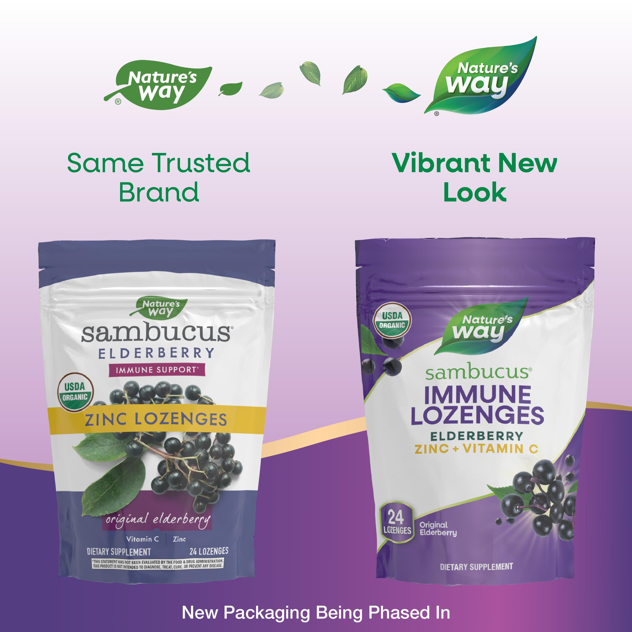 Nature's Way Sambucus Immun, pastilles faciles à emporter pour vos déplacements.