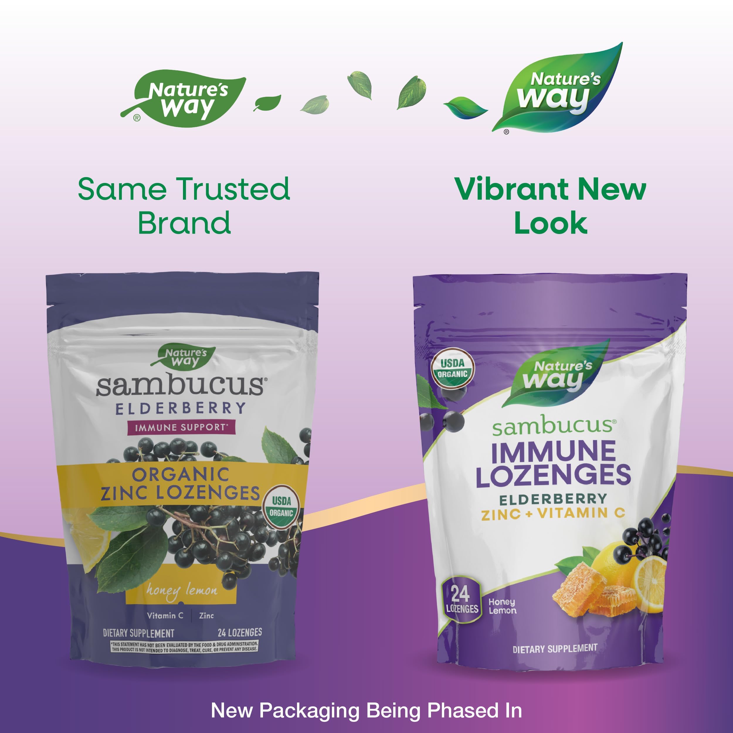 Extrait de sureau biologique dans les pastilles Sambucus Immunité Nature's Way
