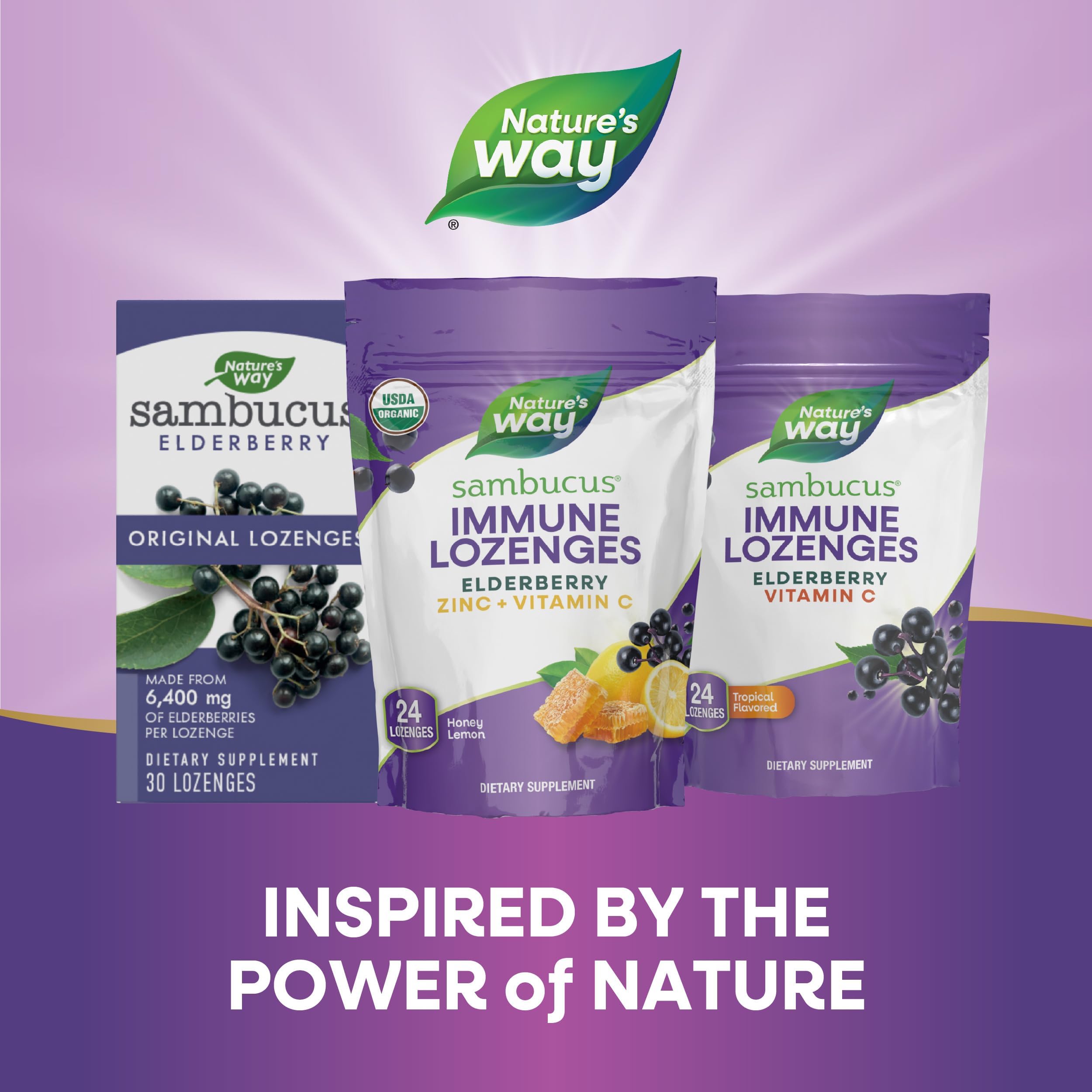 Pour enfants à partir de 5 ans, pastilles Sambucus Immunité Nature's Way