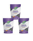 Sambucus Nature's Way pastilles tropicales emballage visible, pratique en déplacement.