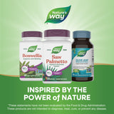 Nature's Way Saw Palmetto usage quotidien – intégré facilement à votre routine