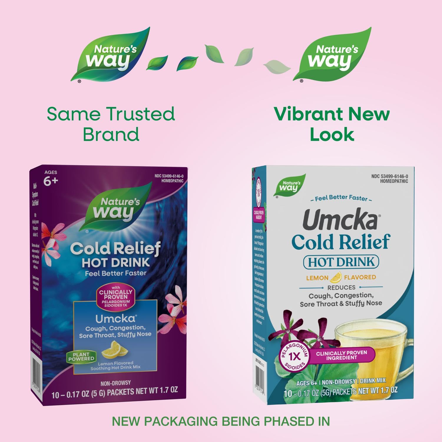 Nature's Way Soulagement rhume — sachets pelargonium sidoides, présentation pratique pour infusion chaude