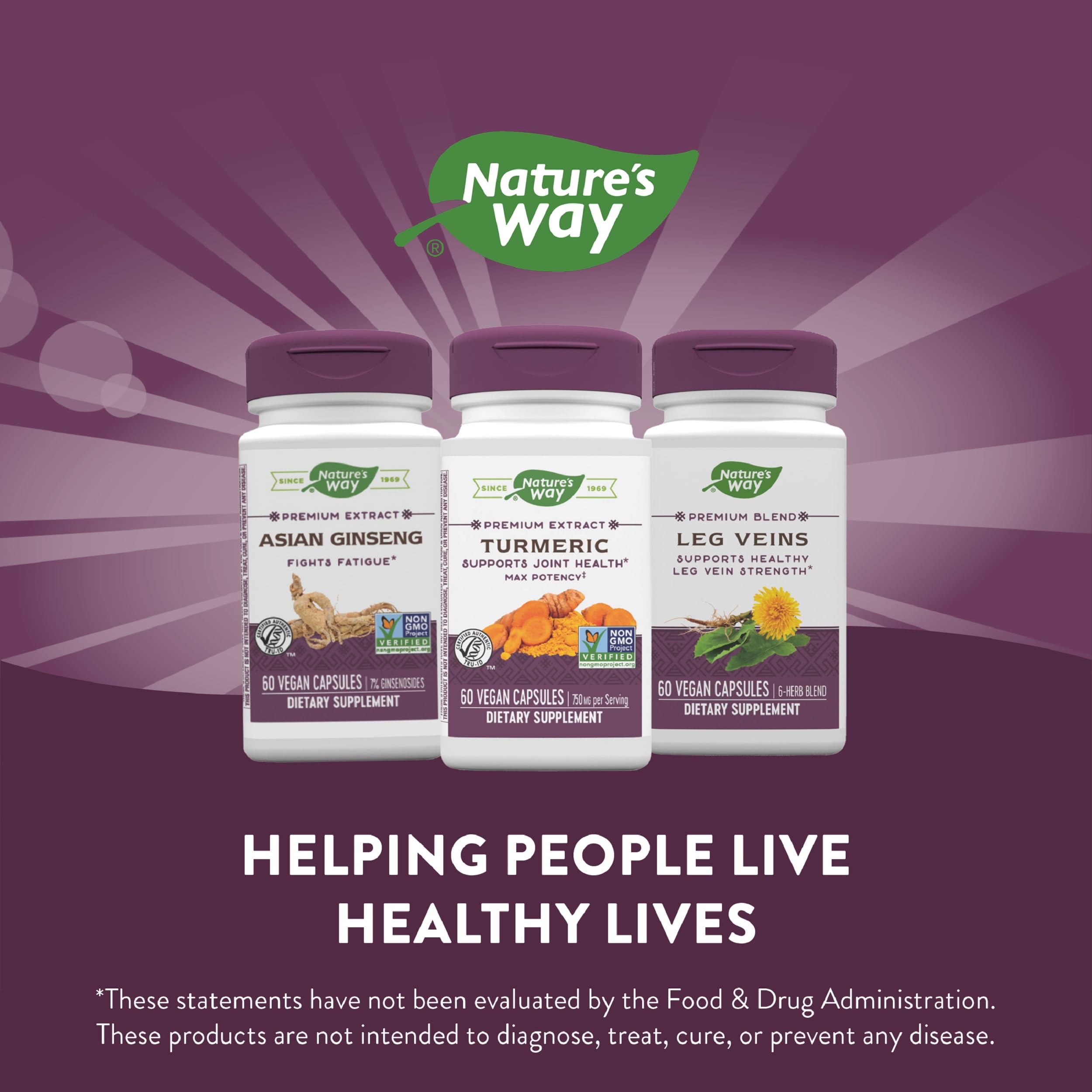 Nature's Way Turmeric Max Potency - dosage quotidien recommandé