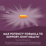 Nature's Way Turmeric Max Potency - étiquette informative et curcuminoïdes