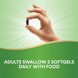 Nature’s Way Ultimate Iron, illustration nutritionnelle mettant en évidence le fer et l’absorption.