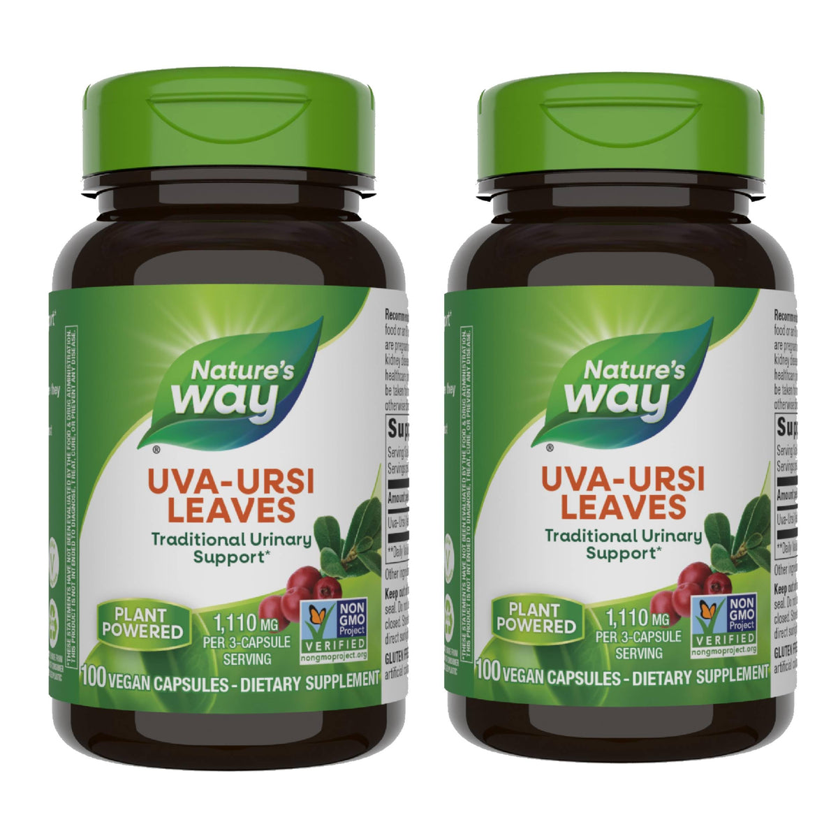 Nature's Way Uva Ursi – feuilles et emballage, soutien urinaire traditionnel