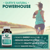 Spiruline biologique USDA Natures Wellness, source protéique naturelle.