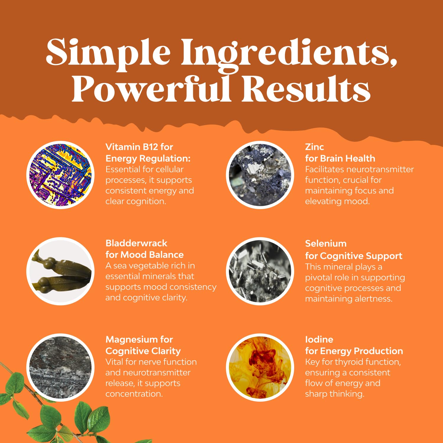 Natures Craft – sélénium et zinc, apport nutritionnel pour le bien-être général.