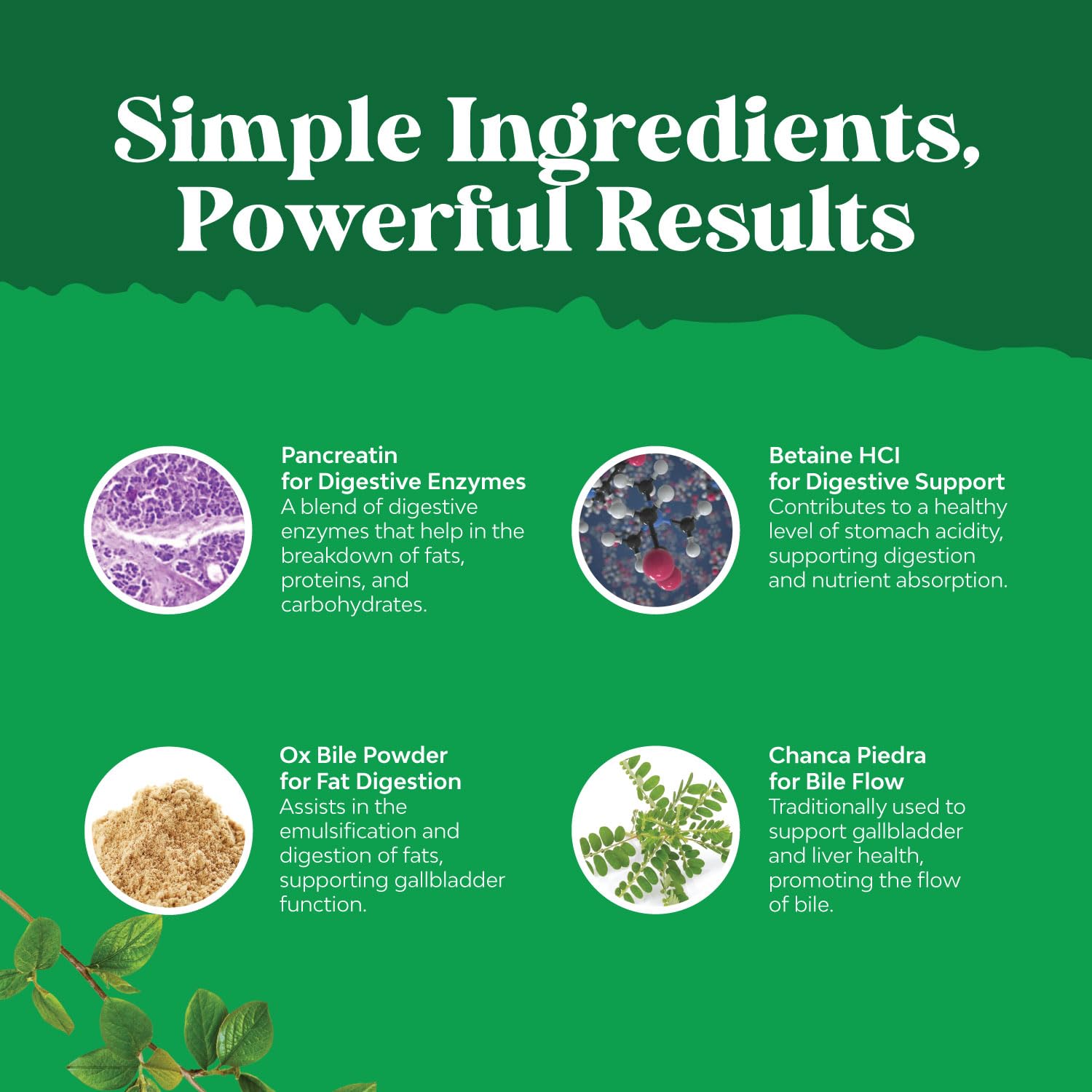 Natures Craft usage quotidien – soutien digestif potentiel