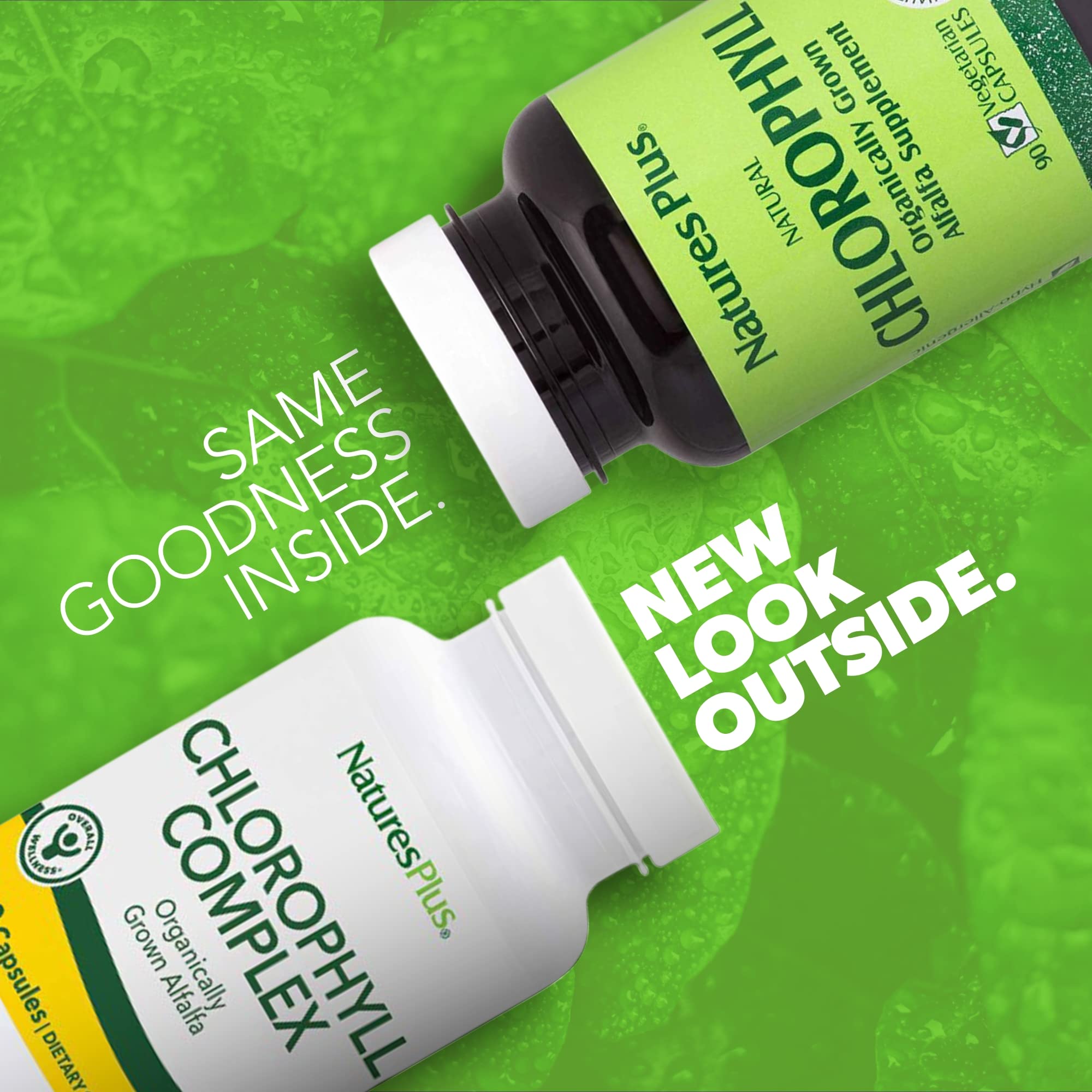 NaturesPlus Chlorophyll Complex – étiquette lisible présentant les sources végétales