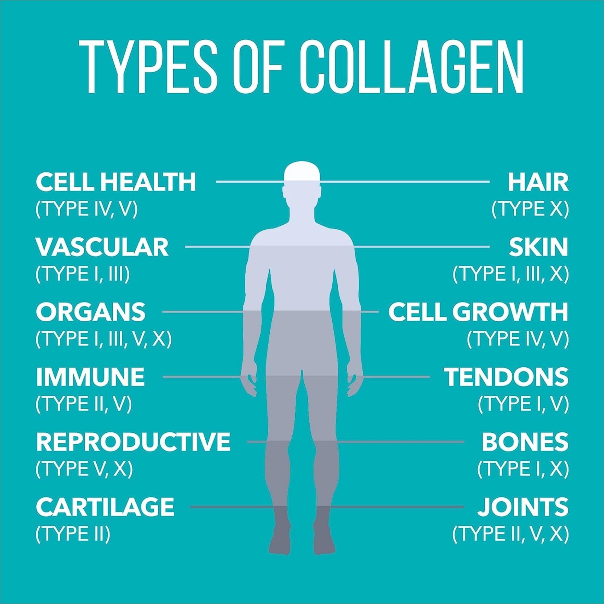 NaturesPlus Collagen Peptides fabrication de qualité : installations certifiées et normes élevées.