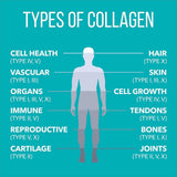 NaturesPlus Collagen Peptides fabrication de qualité : installations certifiées et normes élevées.