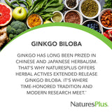 NaturesPlus Ginkgo Biloba, tablette végétarienne, soutien mémoire et fonctions cognitives.