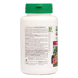 NaturesPlus Herbal Actives Coleus Forskohlii – capsules faciles à avaler pour efficacité potentielle