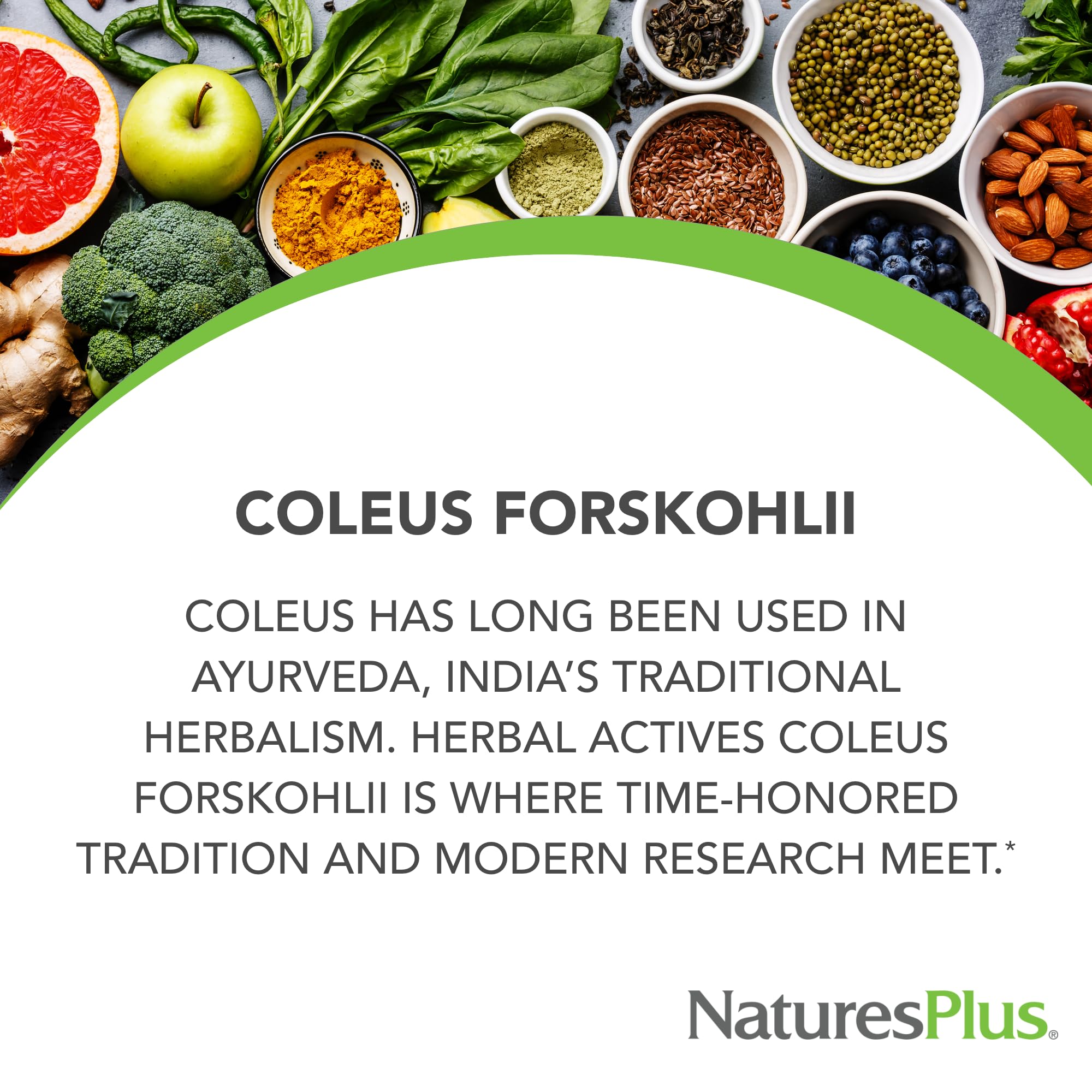 NaturesPlus Herbal Actives Coleus Forskohlii – verre contenant des capsules pour prise quotidienne