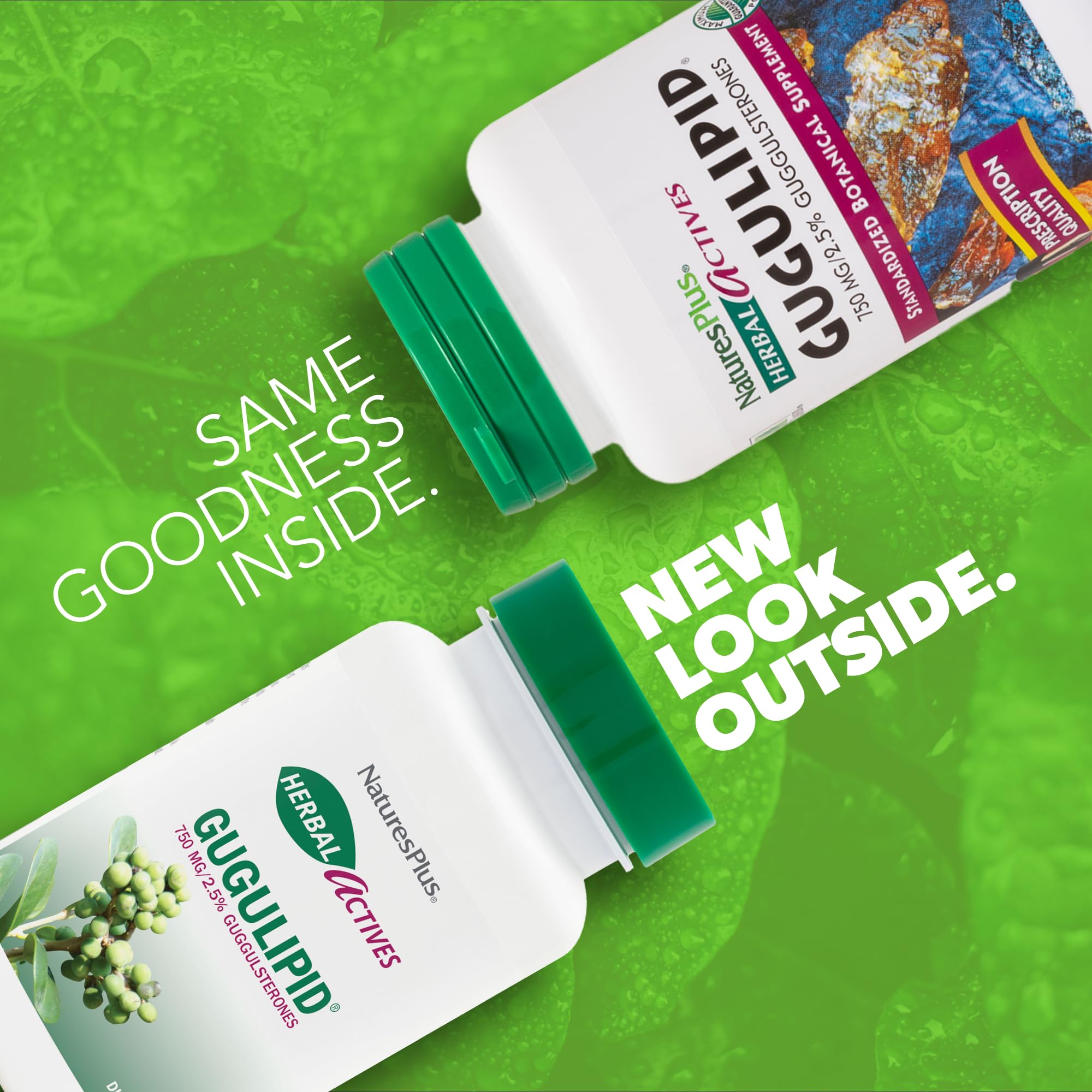 Gugulipid NaturesPlus, boîte 60 capsules, emballage clair et pratique pour la routine.