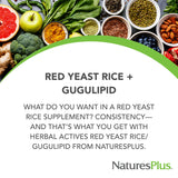 NaturesPlus Herbal Actives Gugulipid extrait, formule standardisée pour plus de constance.