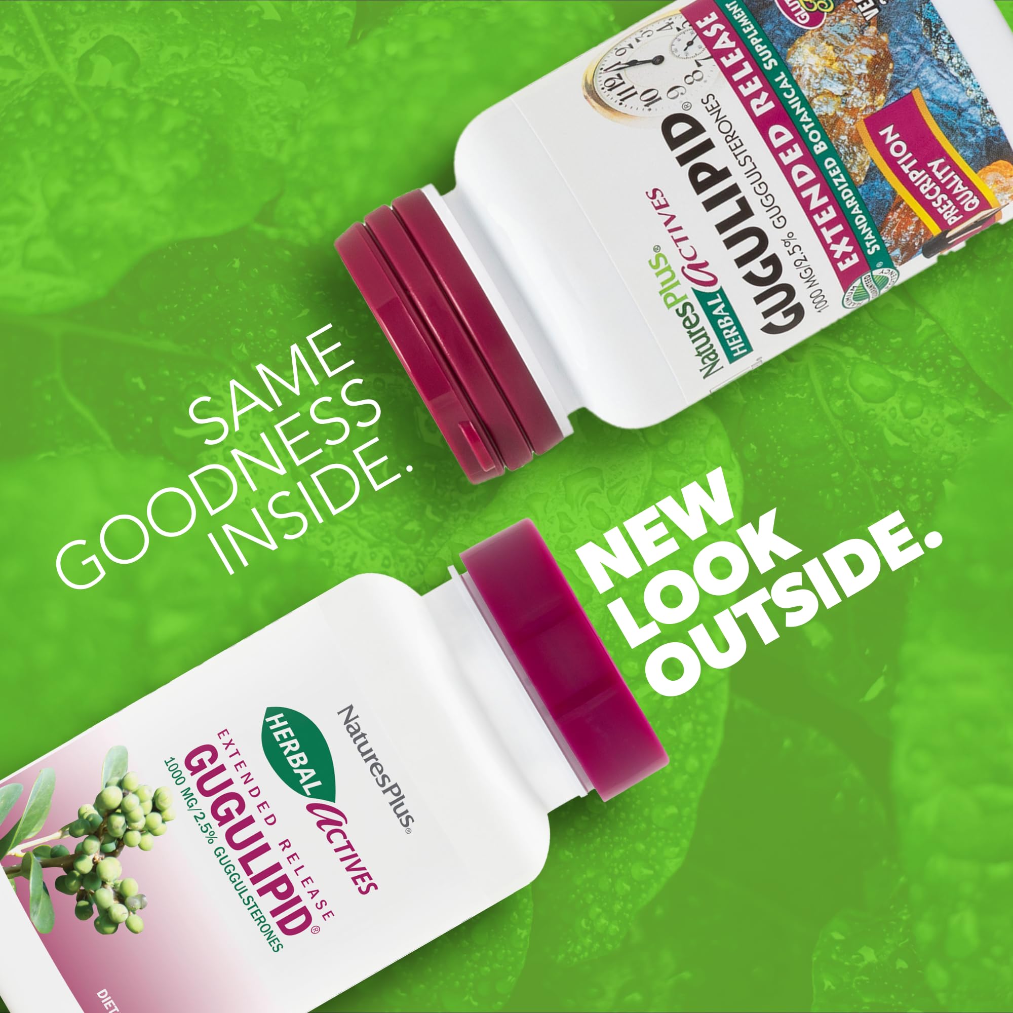 Gugulipid NaturesPlus, comprimés à libération prolongée pour résultats soutenus.