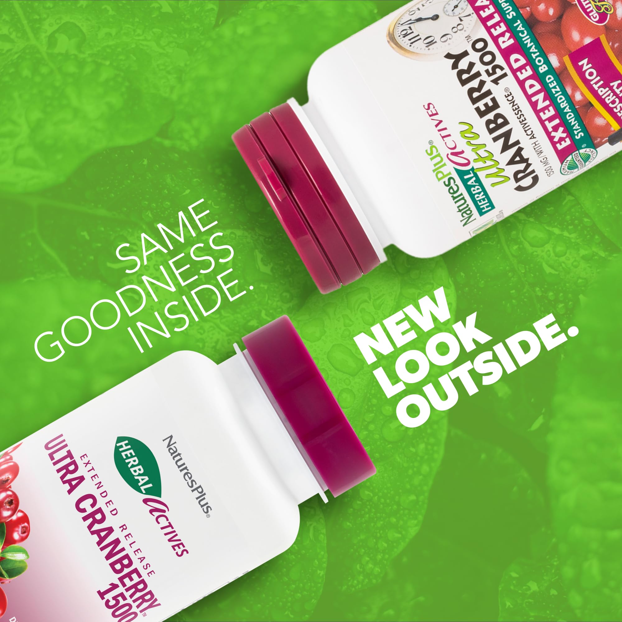 Cranberries et fruits riches en antioxydants utilisés par NaturesPlus Ultra Cranberry 1500.