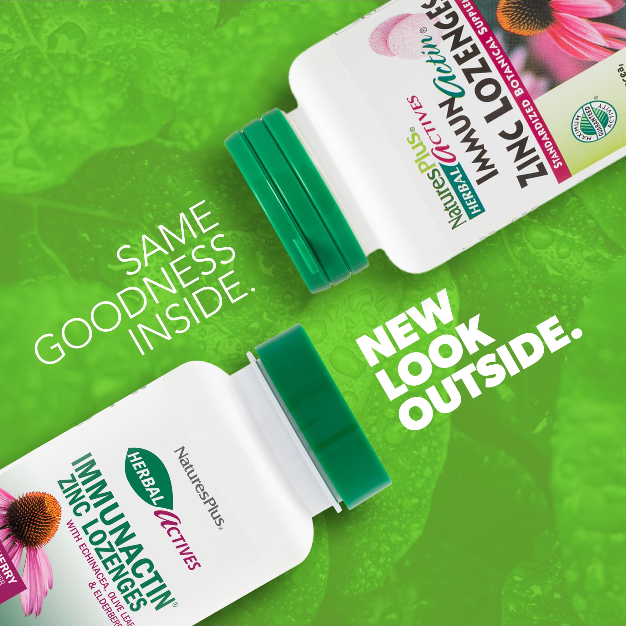 NaturesPlus ImmunActin Zinc Lozenges ingrédients clés échinacée et sureau pour la vitalité