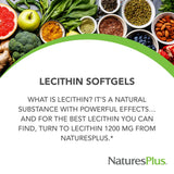 Étiquette NaturesPlus Lecithine sans gluten et ingrédients clés.