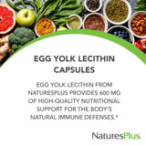 NaturesPlus Lécithine jaune d'œuf 600 mg – étiquette claire sans allergènes connus.