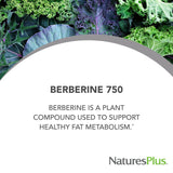 NaturesPlus PRO Berberine 750 mg – Boîte ouverte montrant les gélules.