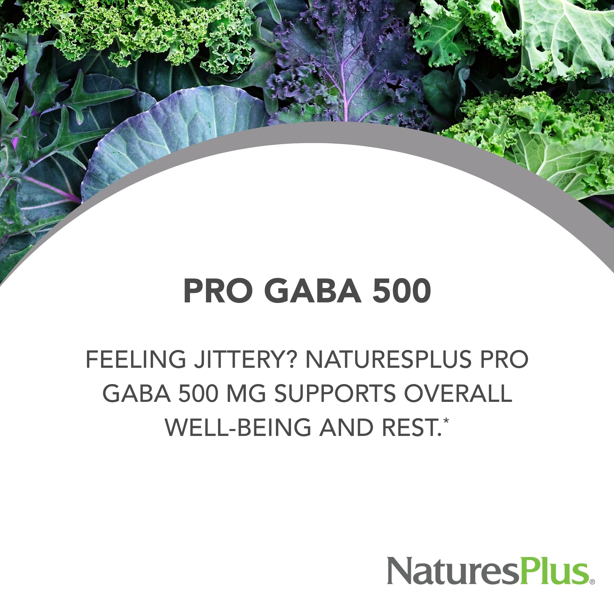 Capsules NaturesPlus PRO GABA faciles à avaler pour le quotidien.