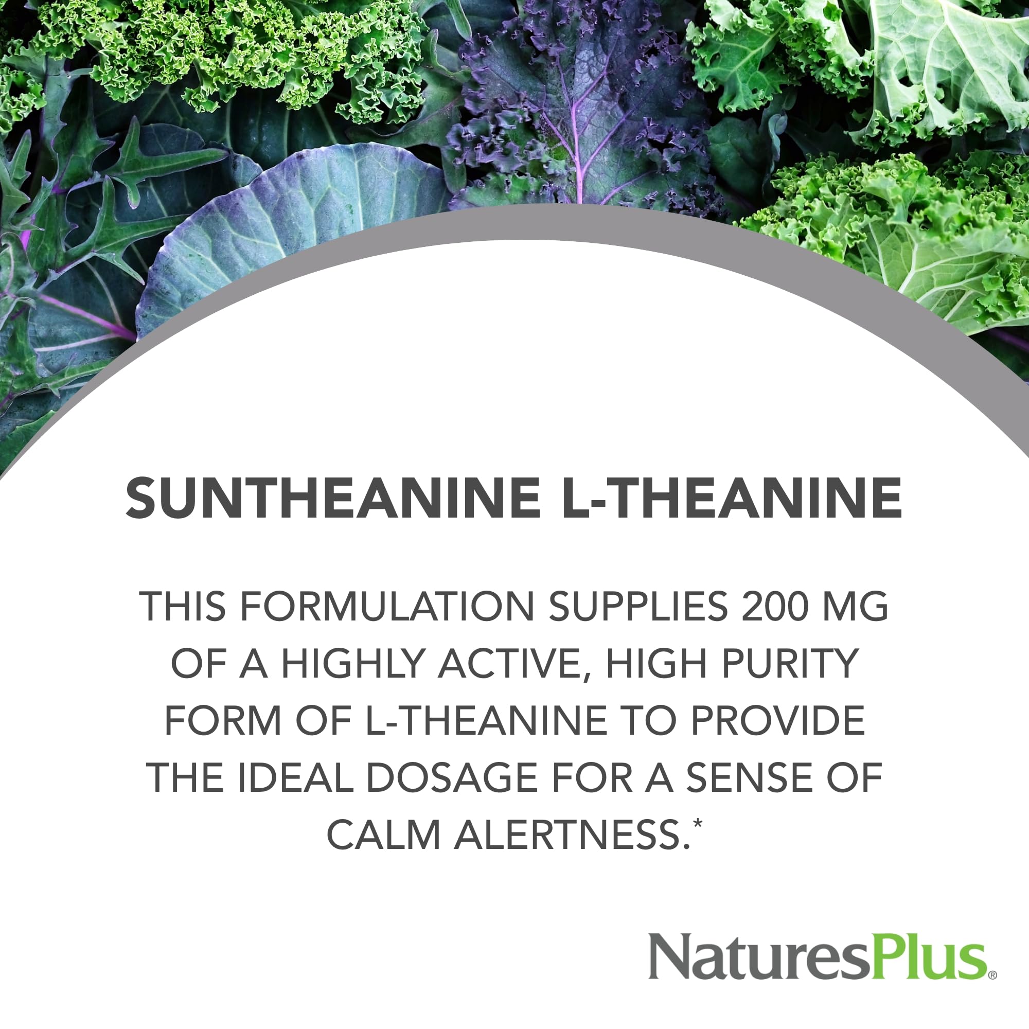 Gélules Suntheanine de NaturesPlus en gros plan, facilité de prise et bien-être potentiel.