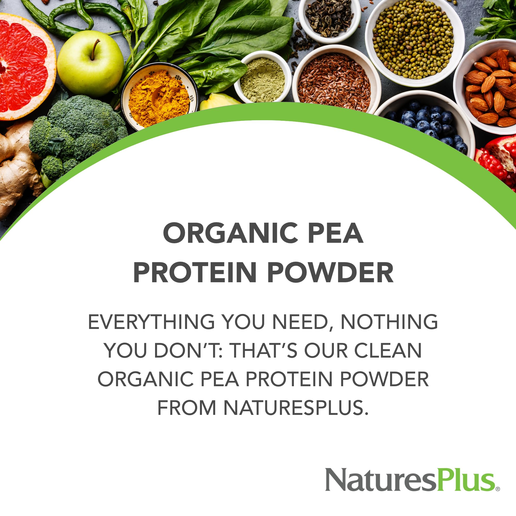 NaturesPlus protéine pois biologique – sans OGM et sans allergenes