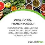 NaturesPlus protéine pois biologique – sans OGM et sans allergenes