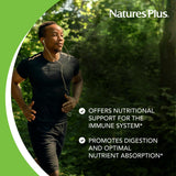 NaturesPlus Source of Life Immunite Booster – ara-larix et feuille dolive pour un soutien botanique