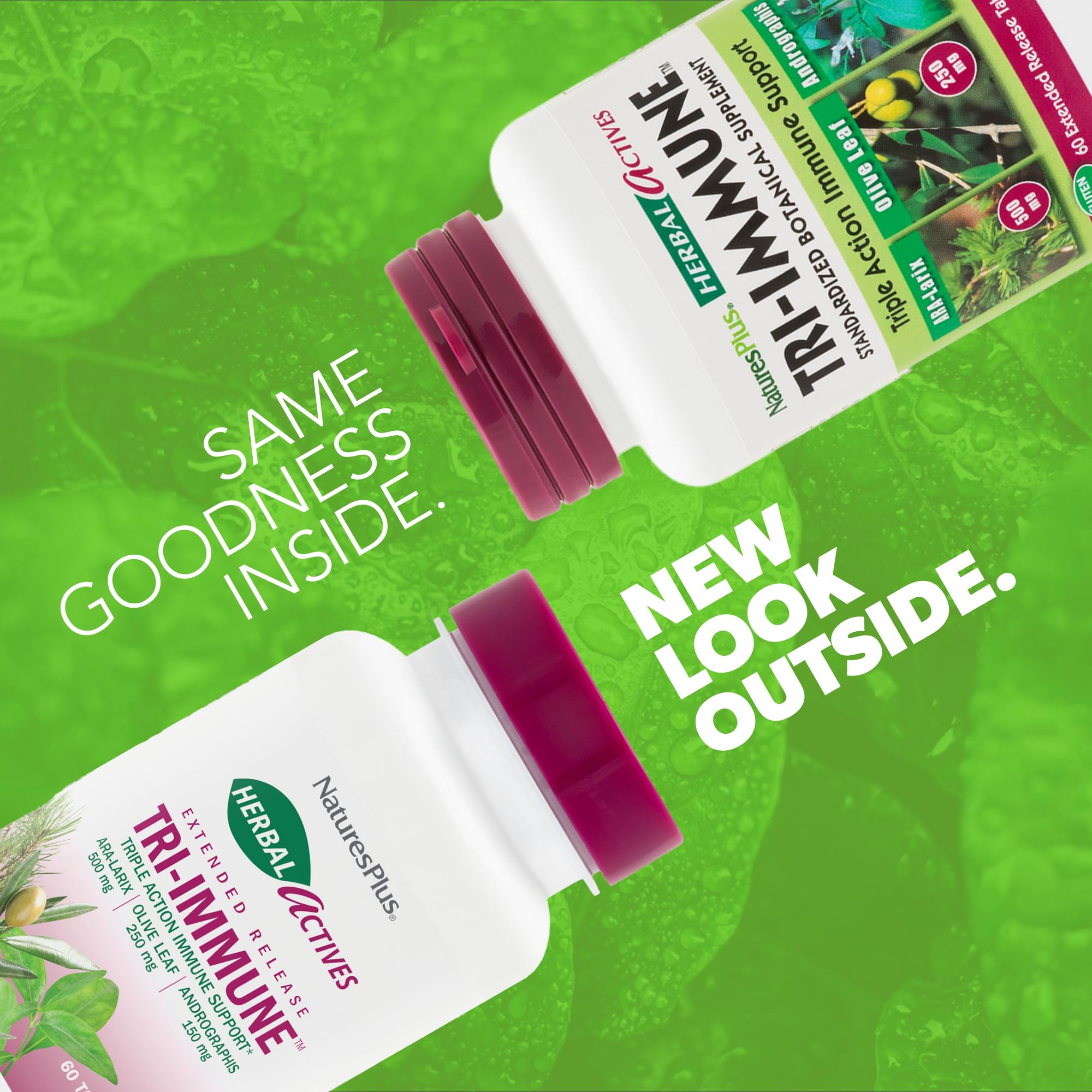 Tri-Immune NaturesPlus — feuille-d-olivier pour un soutien naturel au quotidien.
